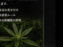 合法カンナビス文化のイメージ